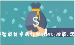 深入解析币安智能链中的tpWallet：功能、优势与使