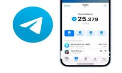 tpWallet马蹄链是什么？全方位解析与使用指南
