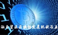 海南金融自贸区区块链发展现状及未来展望
