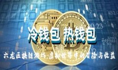 六龙区块链游戏：虚拟世界中的冒险与收益