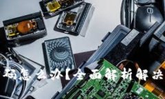 tpWallet忘记密码怎么办？全面解析解决办法与防范