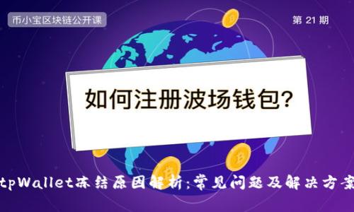 tpWallet冻结原因解析：常见问题及解决方案