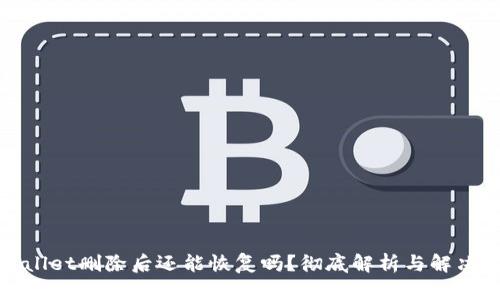 tpWallet删除后还能恢复吗？彻底解析与解决方案